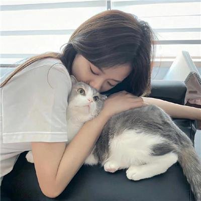 小夜曲